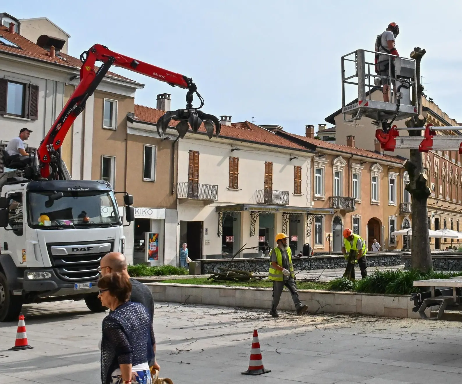 Piazza San Magno si spoglia. Abbattuti i bagolari malati