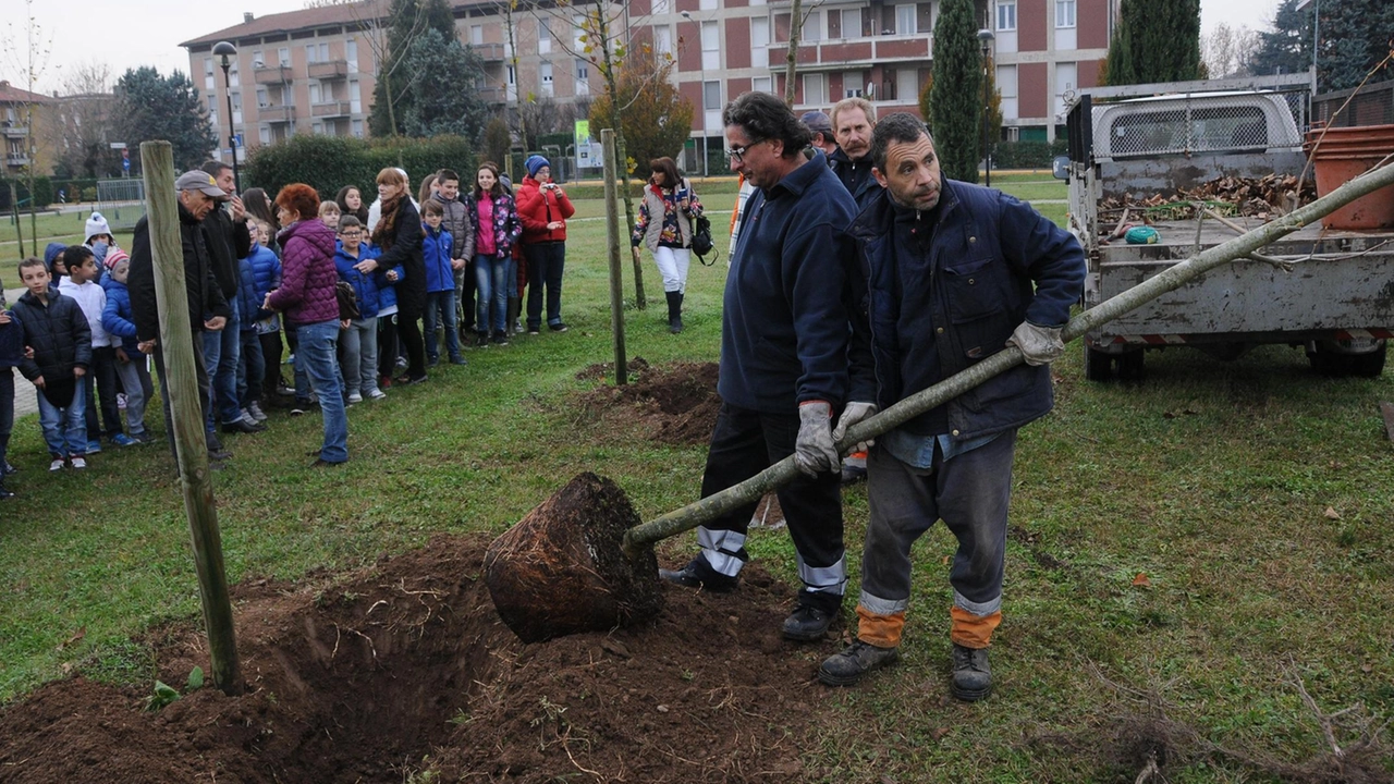 Piantumazione di alberi e guerra allo smog Tani i Comuni che hanno usufruito dei fondi per il bosco del Parco del ticino