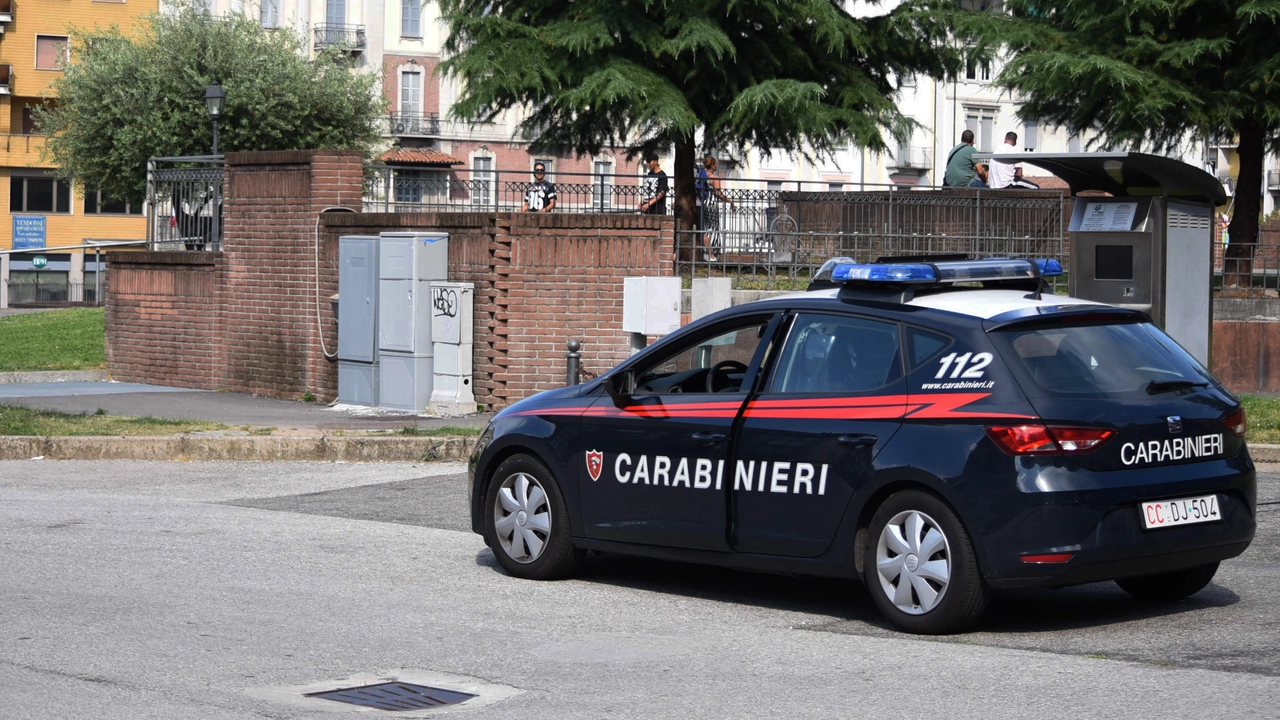 Carabinieri, foto di archivio (Newpress)