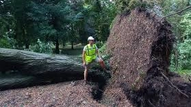 Il Parco del Roccolo nel luglio 2023 fu flagellato da una violenta perturbazione