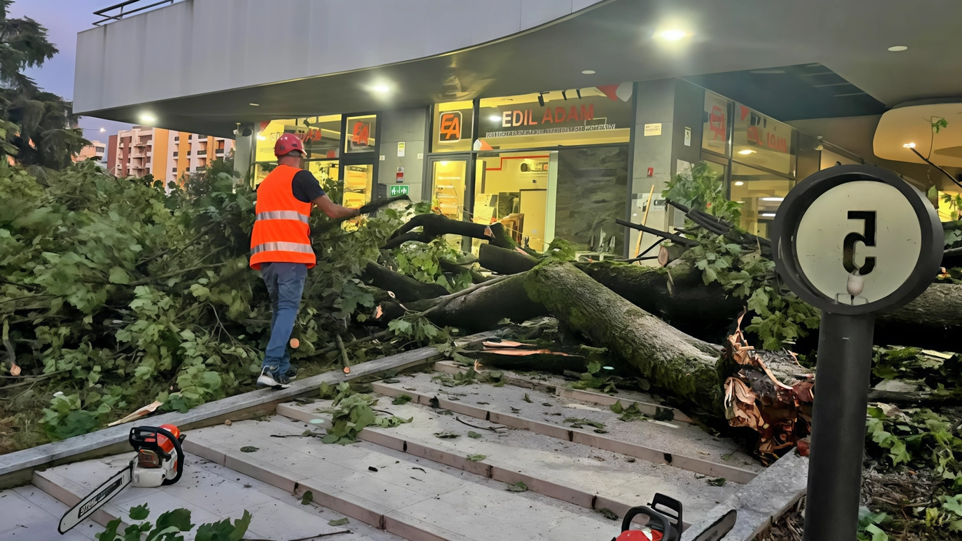 Alberi caduti su strade ed edifici. Si corre ai ripari a tempo di record