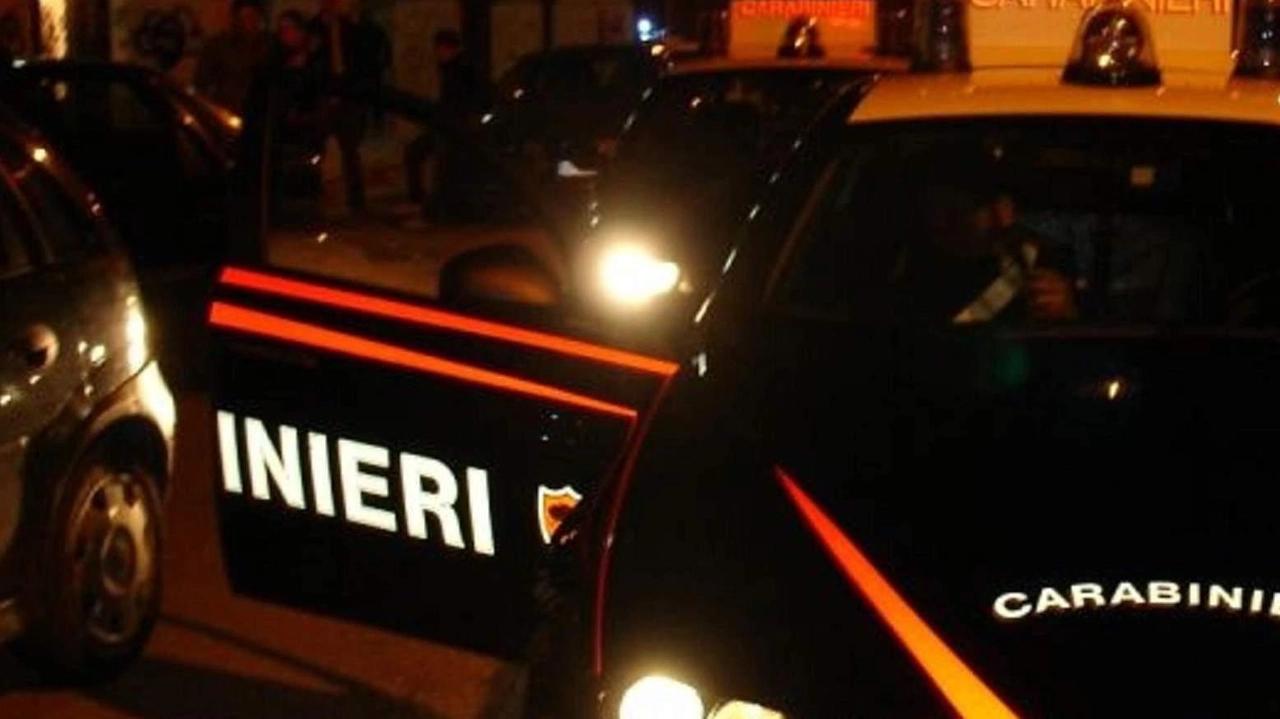 Sul posto sono intervenuti i carabinieri