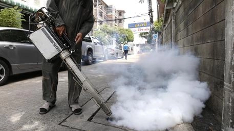 Disinfestazione contro il rischio di un’epidemia da Dengue (foto generica)