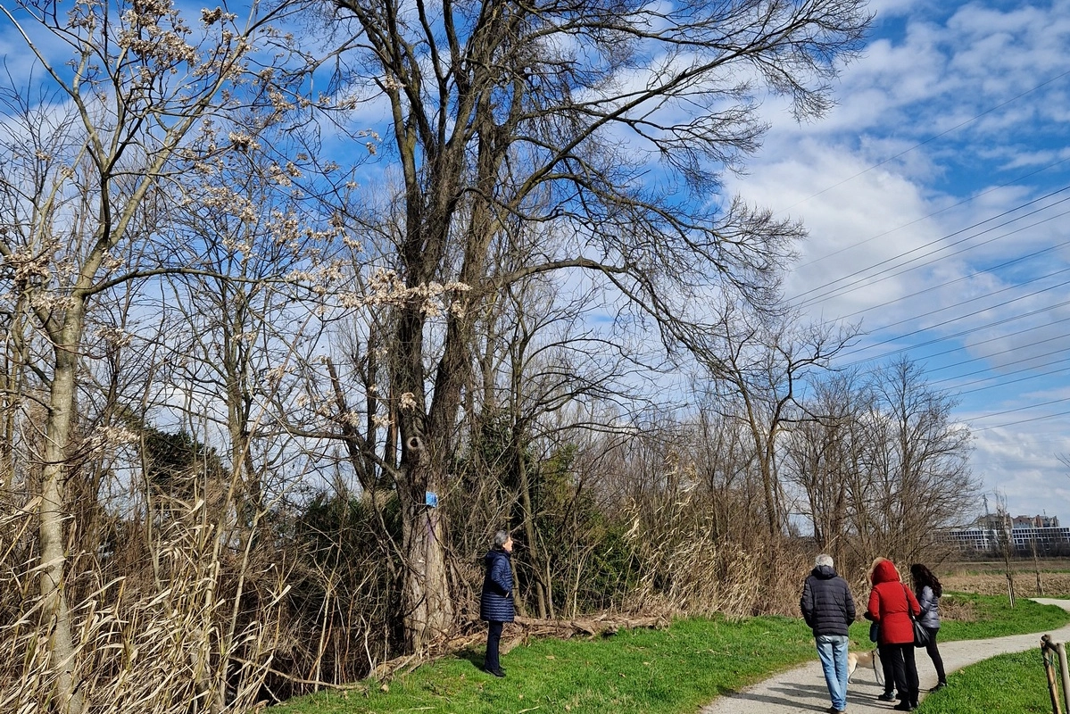 Il Comitato Difesa Ambiente Zona 5 ha inviato il 28 febbraio una diffida al Comune di Milano