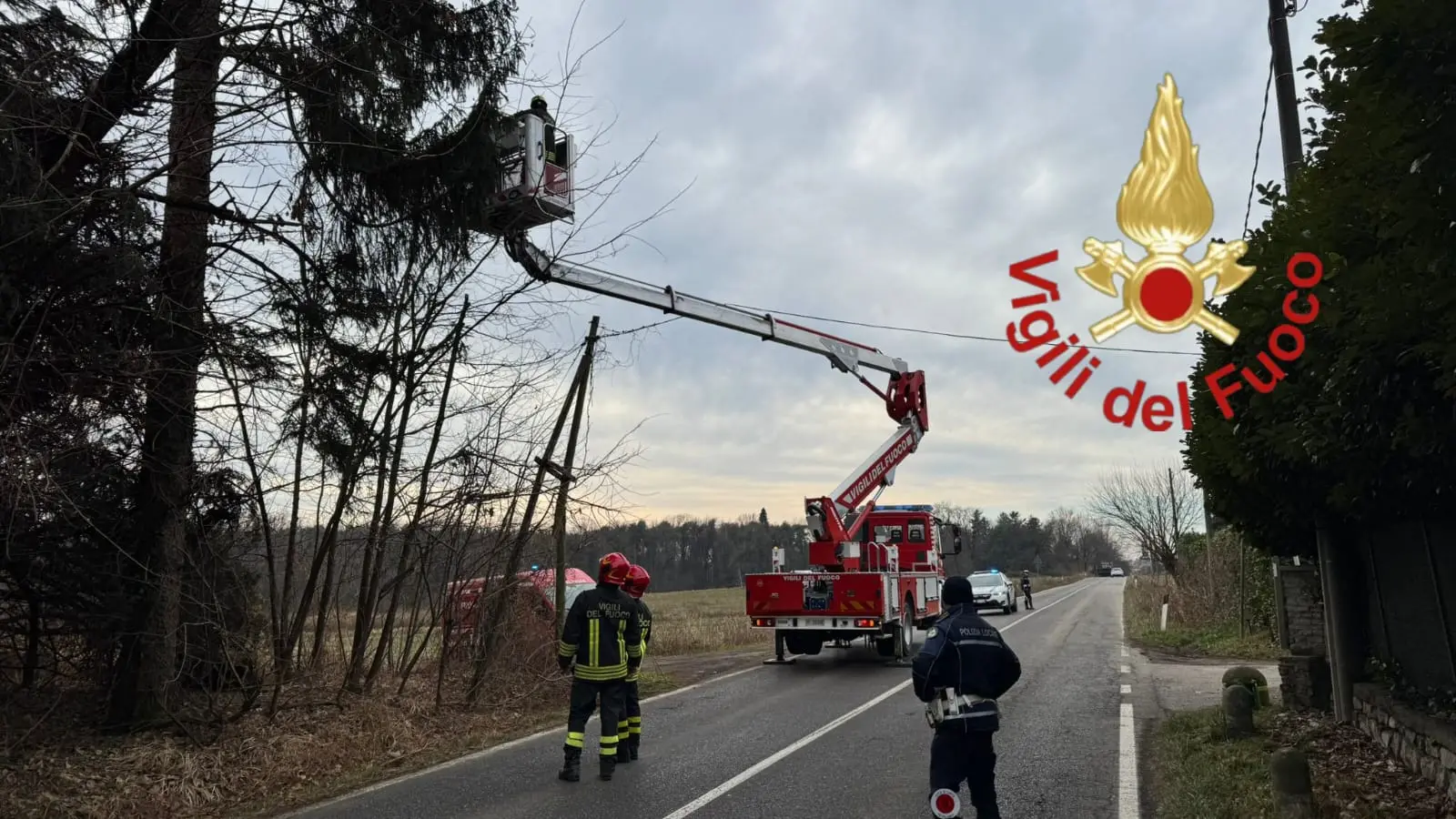 Alzate Brianza, palo del telefono cade sulla provinciale: strada interrotta