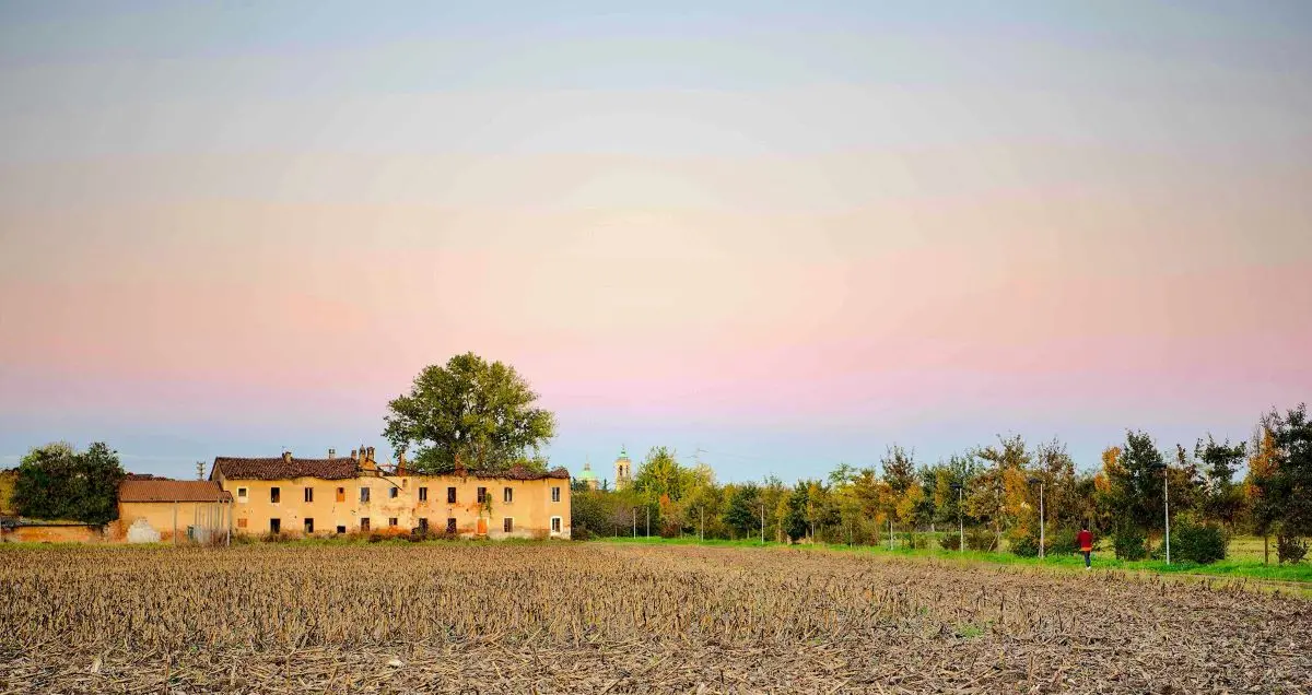 Rho, un ciclo di camminate nel Plis Basso Olona per ammirare il foliage