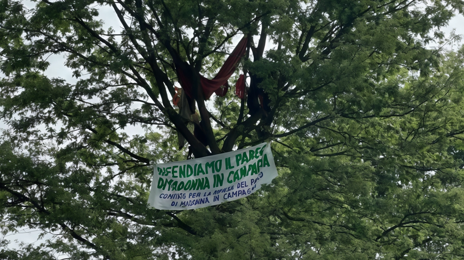 Un rione sulle barricate: no al padel: "Saliremo sugli alberi per difenderli"
