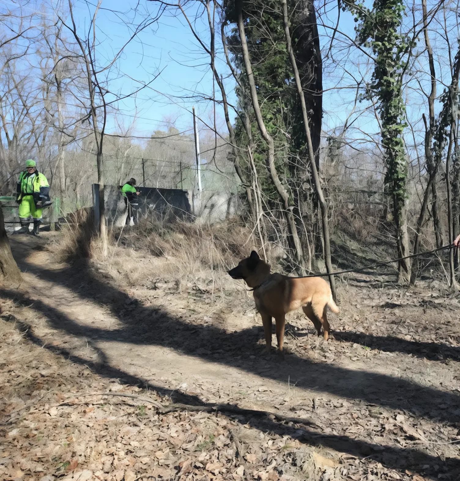 Smantellato l’angolo dello spaccio