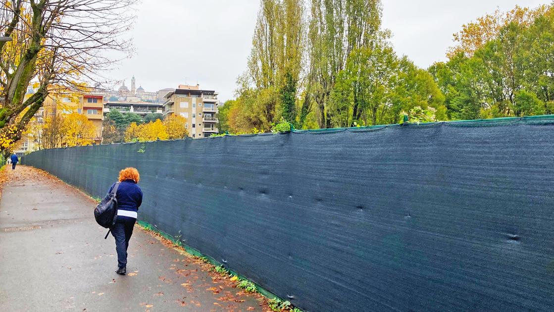 Bergamo, cantiere all’ex ospedale: si allarga la protesta per salvare gli alberi di via XXIV Maggio