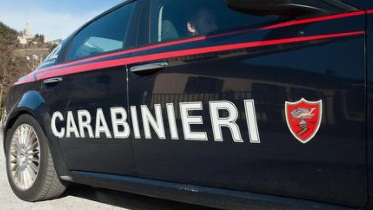 Le ricerche dei carabinieri (Foto Ansa)