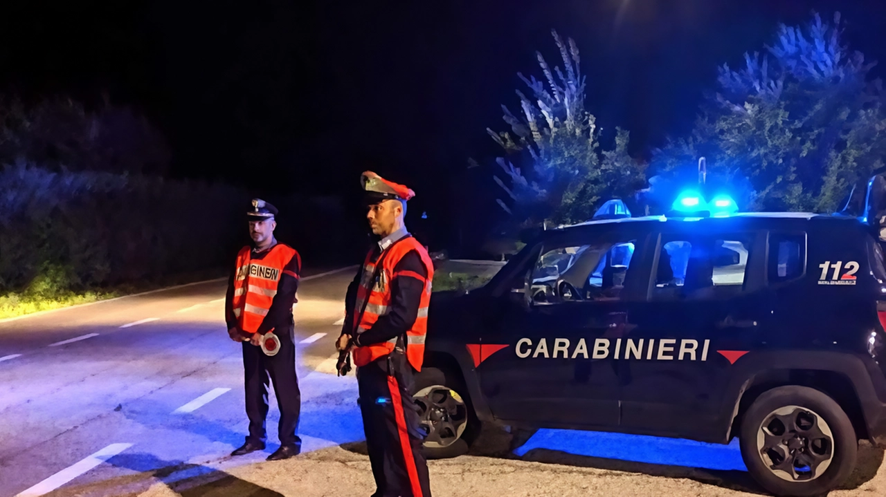 Uno dei carabinieri che hanno tentato di fermare la donna è rimasto ferito in modo lieve