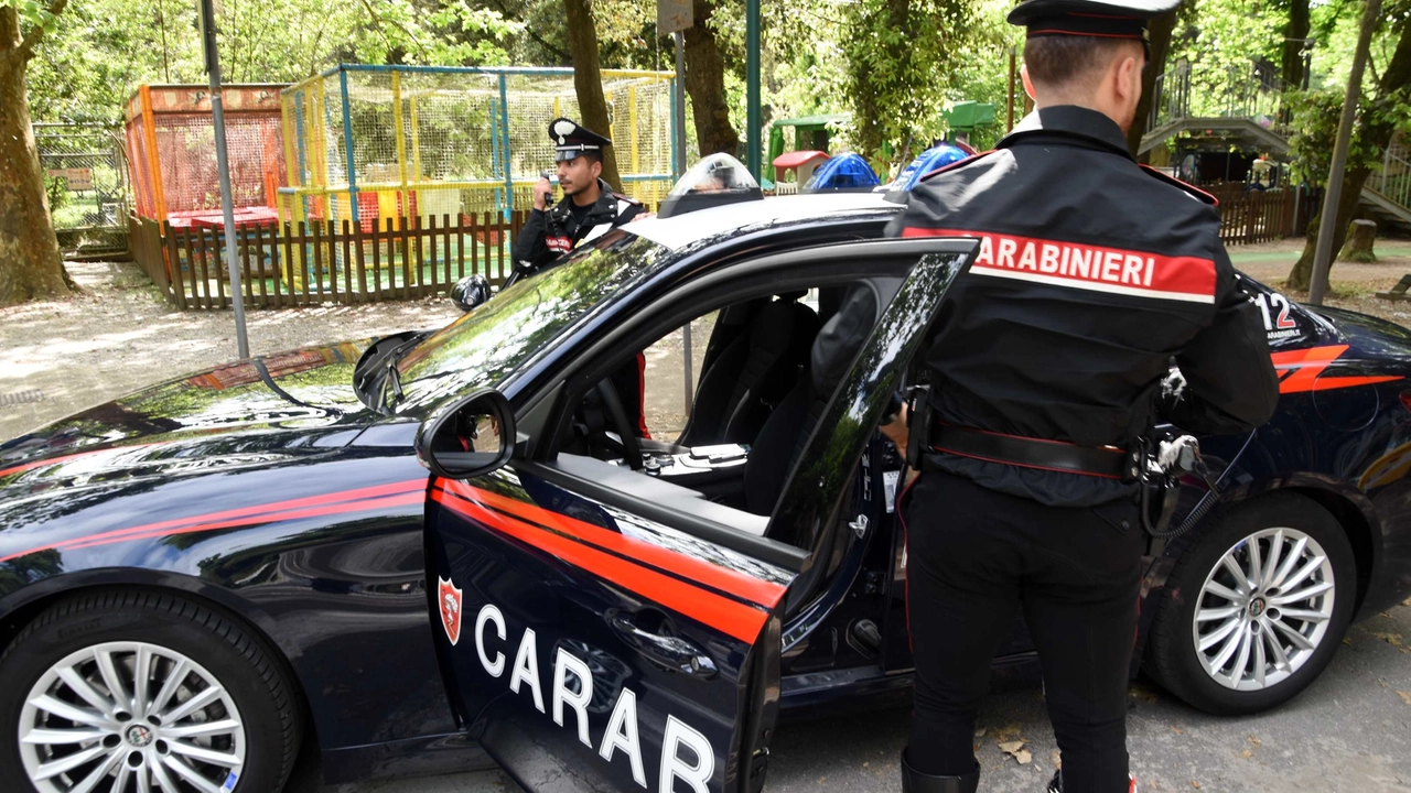 I carabinieri hanno arrestato il malvivente (foto repertorio)