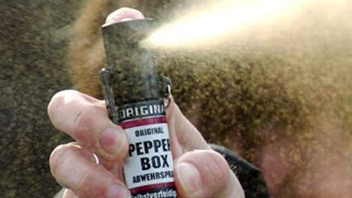 Spray al peperoncino al liceo Cairoli: anno scolastico finito con mezz'ora d'anticipo
