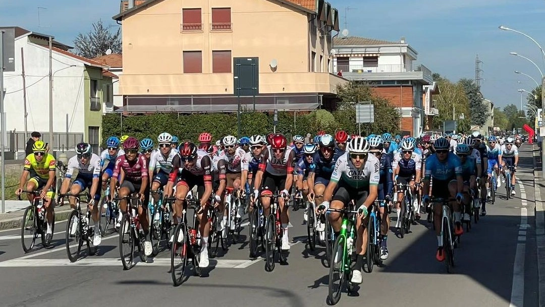 COPPA-BERNOCCHI