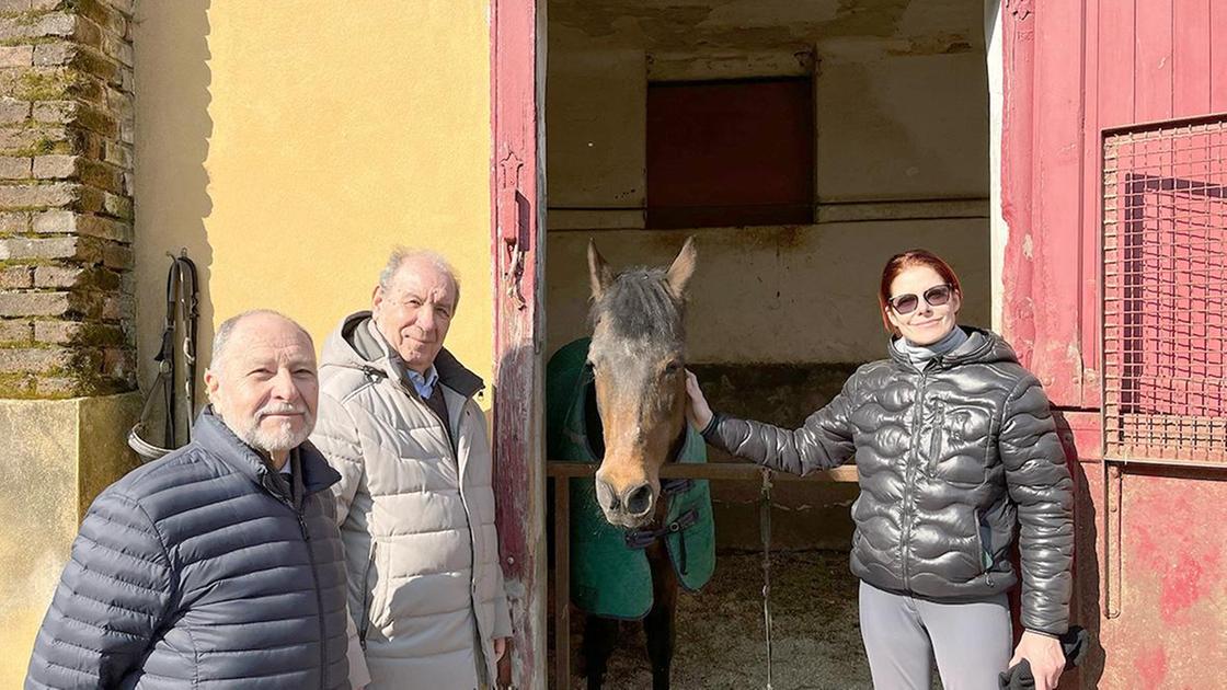 Dove una “ripresa“ ti cambia la vita. Viaggio fra i cavalli eroi del Cer