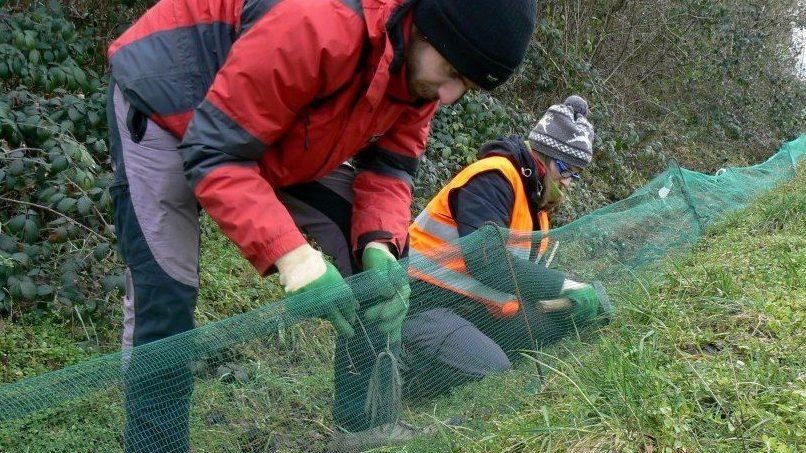 Sono alleati preziosi nella tutela dell’ambiente: gli anfibi, nel territorio hanno nemici, i veicoli che sfrecciano sulle strade schiacciandoli...