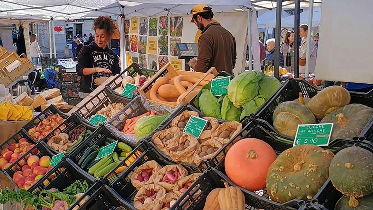 Lotta alla povertà alimentare grazie a frutta e verdura donate a Rho e Bollate .