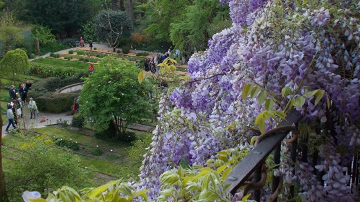 L'orto botanico di Brera