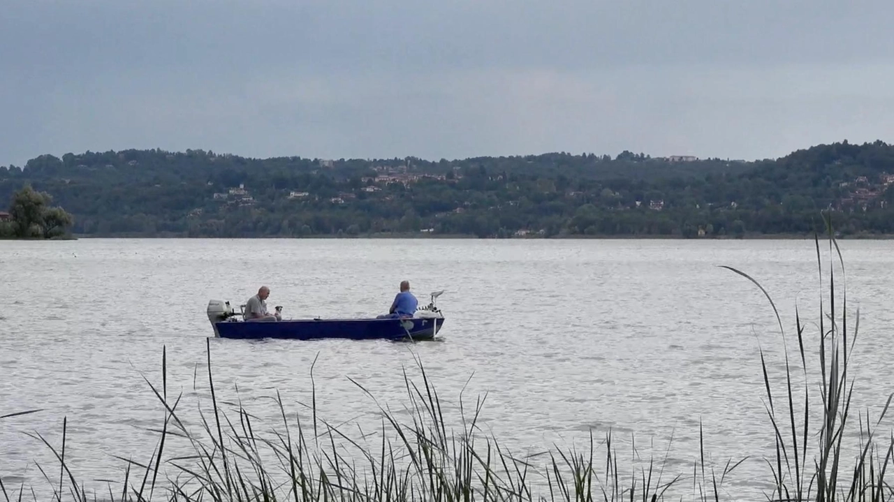 Due documentari dedicati al Lago di Varese e alla Palude Brabbia saranno proiettati sabato sera a Bodio Lomnago. L’appuntamento è...