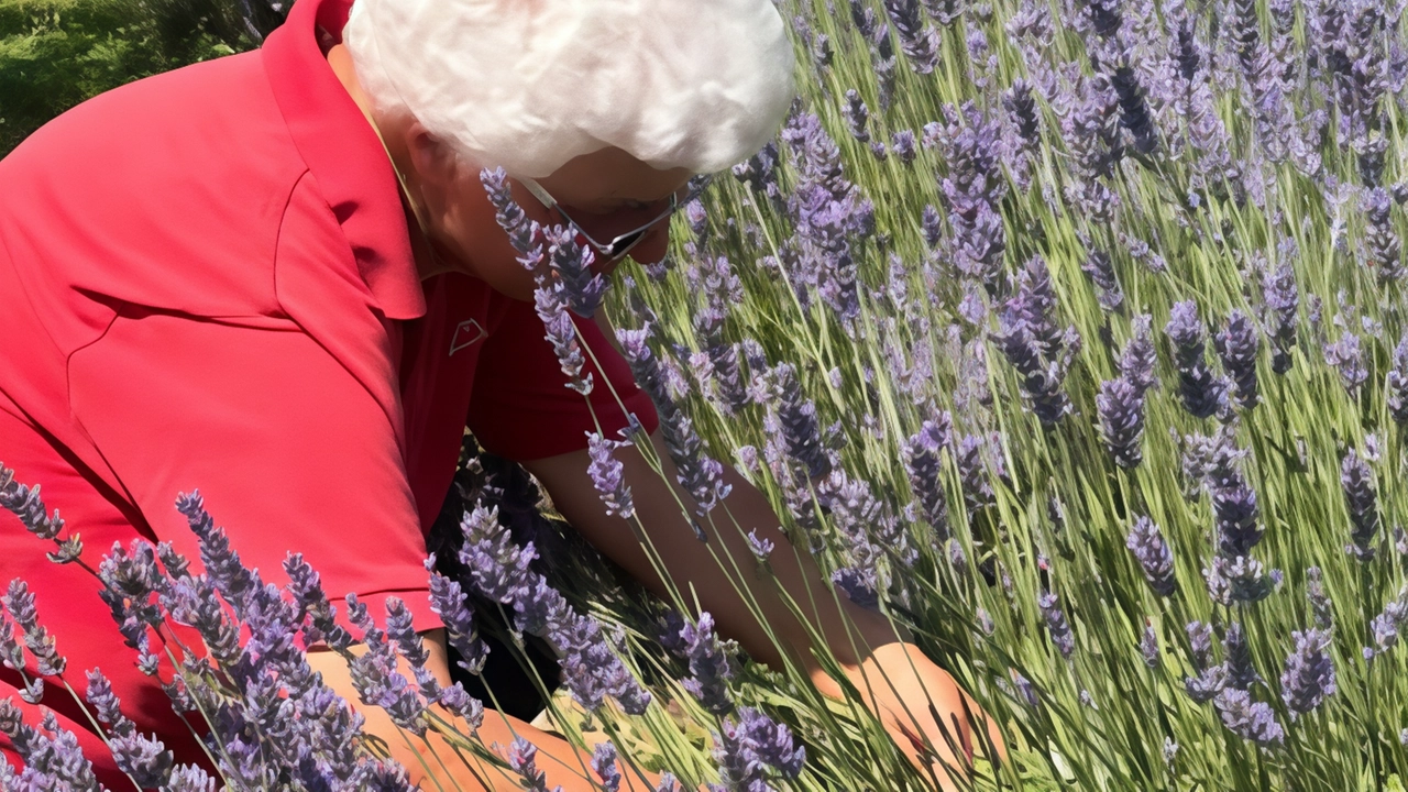 Un albero, un alveare o della lavanda da adottare per realizzare un bosco. L’iniziativa arriva da S.Felice del Benaco, dove...