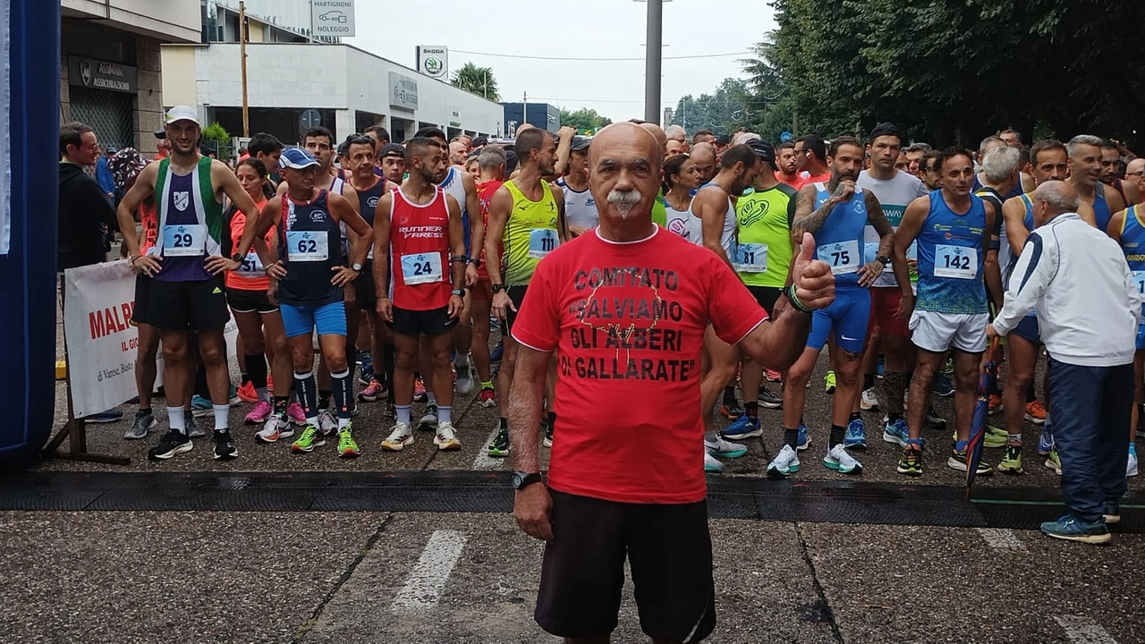 La corsa per salvare il bosco