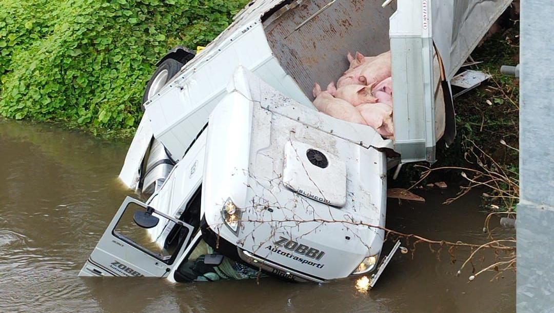 Copiano, camion carico di maiali precipita nell’Olona: l’autista salvo per miracolo