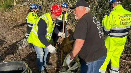 Volontari all'opera per ripulire il bosco