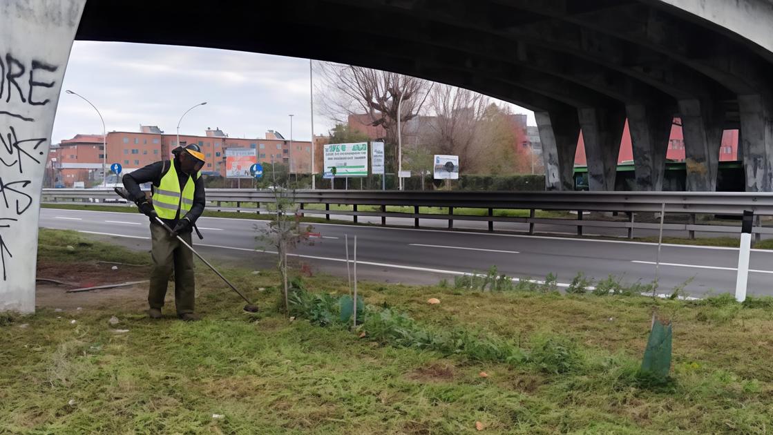 Verde pubblico, nuova gestione. E stop all’incivilità