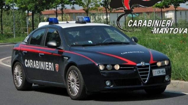 Mantova, droga, armi e cibo senza etichette: carabinieri e Nas passano la provincia al setaccio