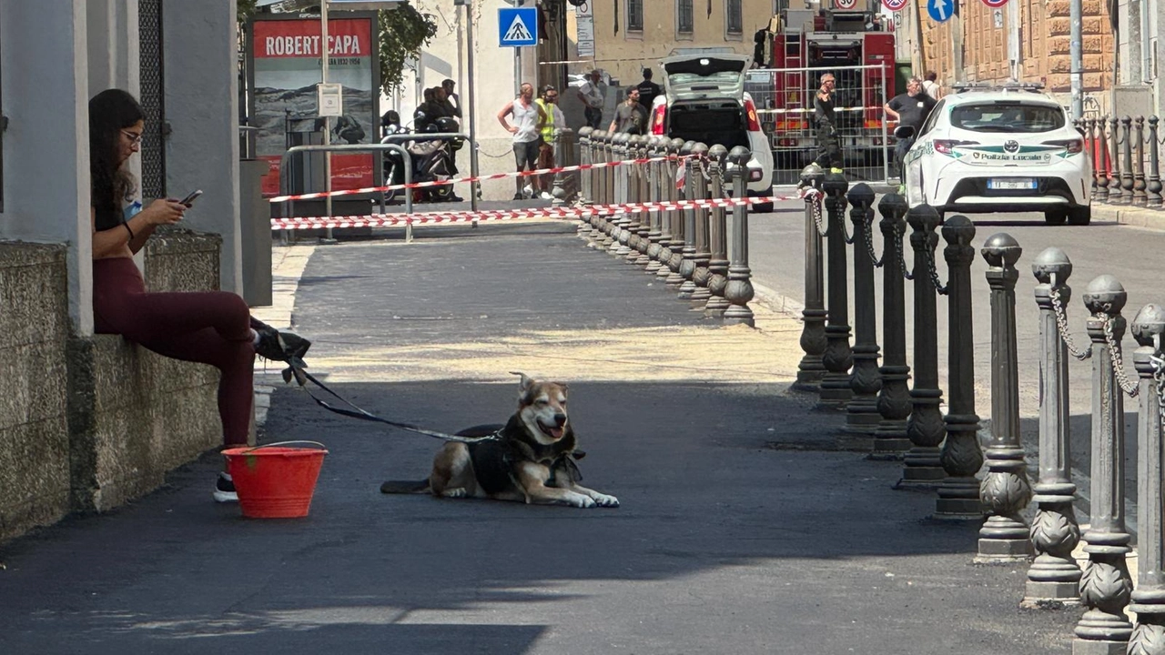 Via Scopoli questa mattina, una ragazza aspetta assieme al suo cane di poter rientrare nella sua abitazione