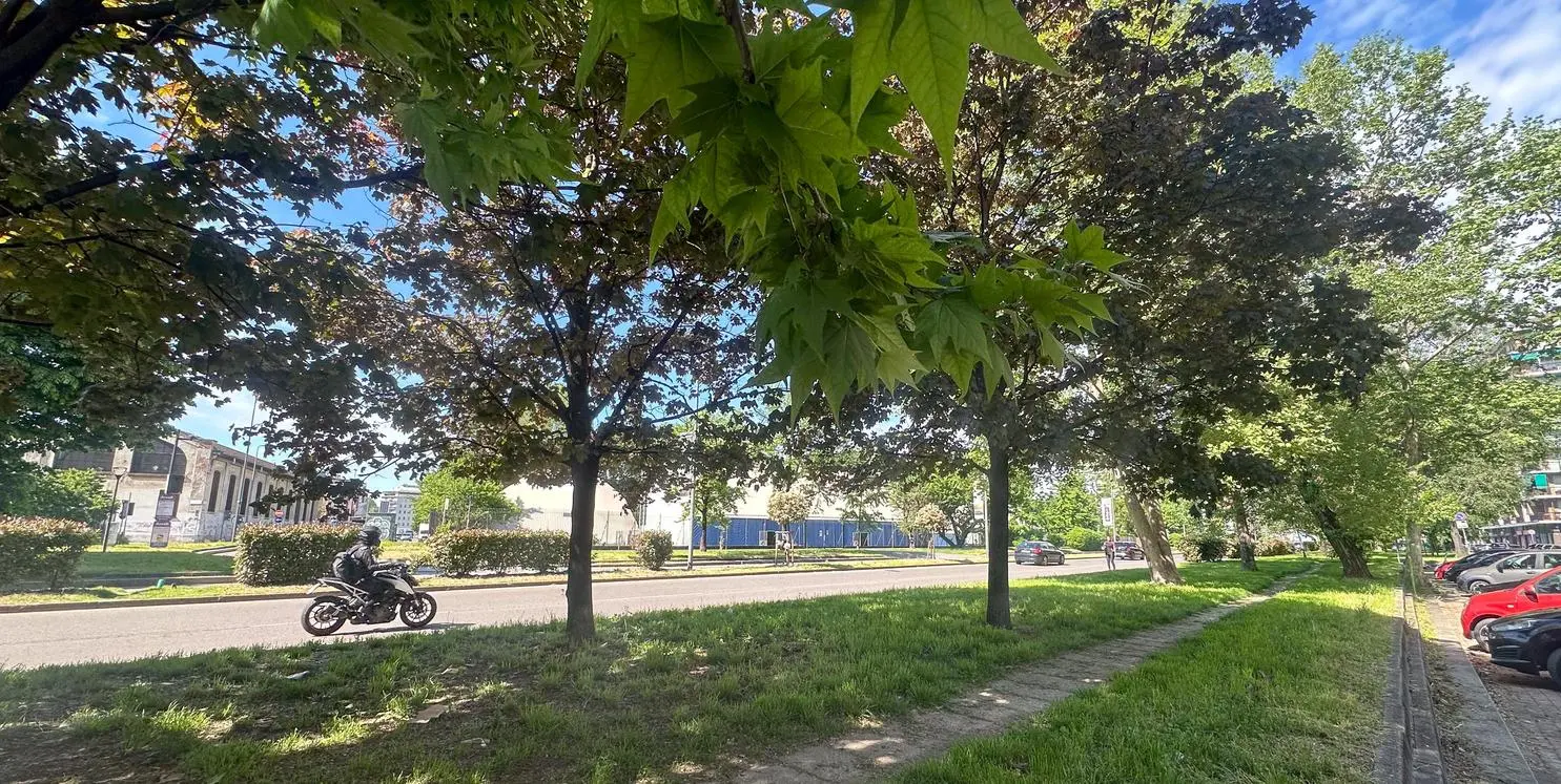 Milano, la vita in via Palmanova: “Ci vorrebbe più pulizia. Ma abbiamo isole verdi”
