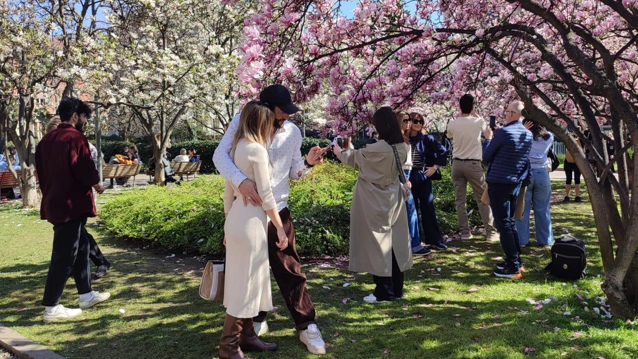 Primavera a Milano, selfie con le magnolie in fiore