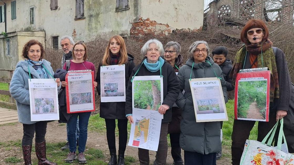 Milano, 78 alberi del Parco Ticinello rischiano d’essere abbattuti. I comitati si mobilitano: “Giù le mani dalle piante”