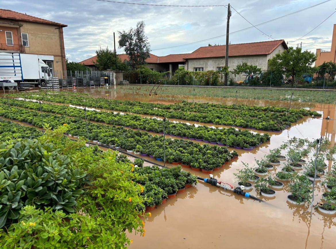 Dalla siccità al boom di piogge: la crisi climatica è una catastrofe per l’agricoltura in Lombardia