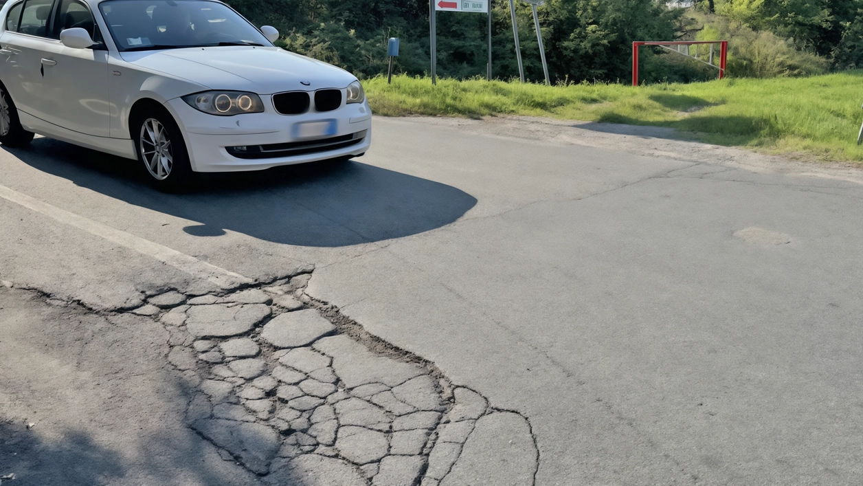 Tratti nel mirino: da Cascina Folla alla strada consortile, allo svincolo dell’A7 invaso da arbusti. L’ex sindaco Ettore Fusco: il tragitto che collega con Fizzonasco [/EMPTYTAG]è quello messo peggio.