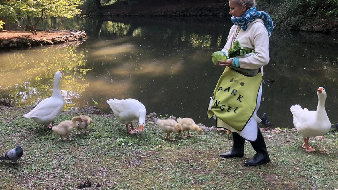 I Park Angels hanno frequentato un percorso formativo su come attivare le procedure di primo soccorso nel caso di animali feriti