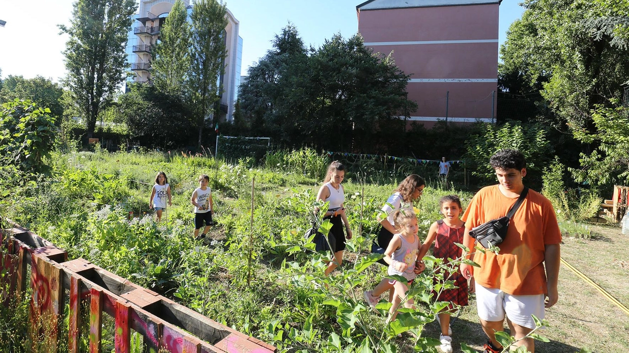 A Monza, la comunità si impegna a mantenere vivi gli orti urbani come punti di contatto con la natura, promuovendo la coltivazione e l'integrazione sociale attraverso visite guidate e laboratori con scuole e associazioni locali.