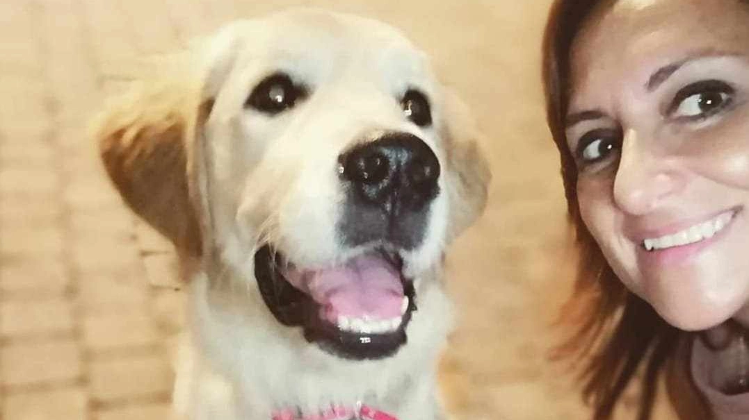 Lipsi, Golden retriever di quasi 5 anni, con la padrona Tina di Noia La cagnolina si è sentita male lo scorso mercoledì ed è stata ricoverata una notte