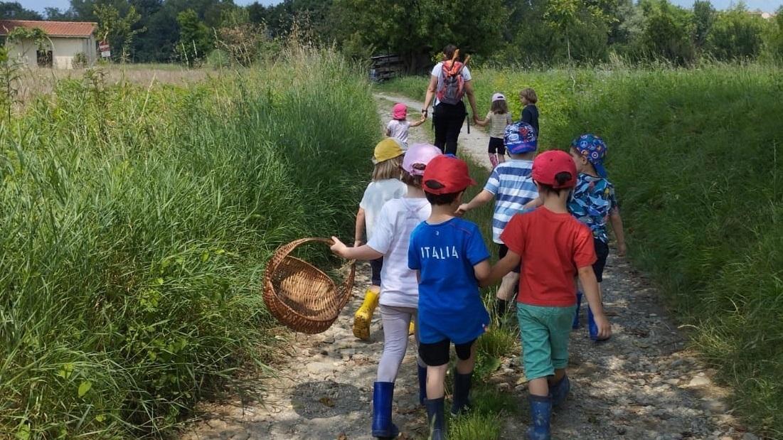 Tra laghi, cascine, lucciole e pipistrelli. Trenta eventi nella Valle del Lambro