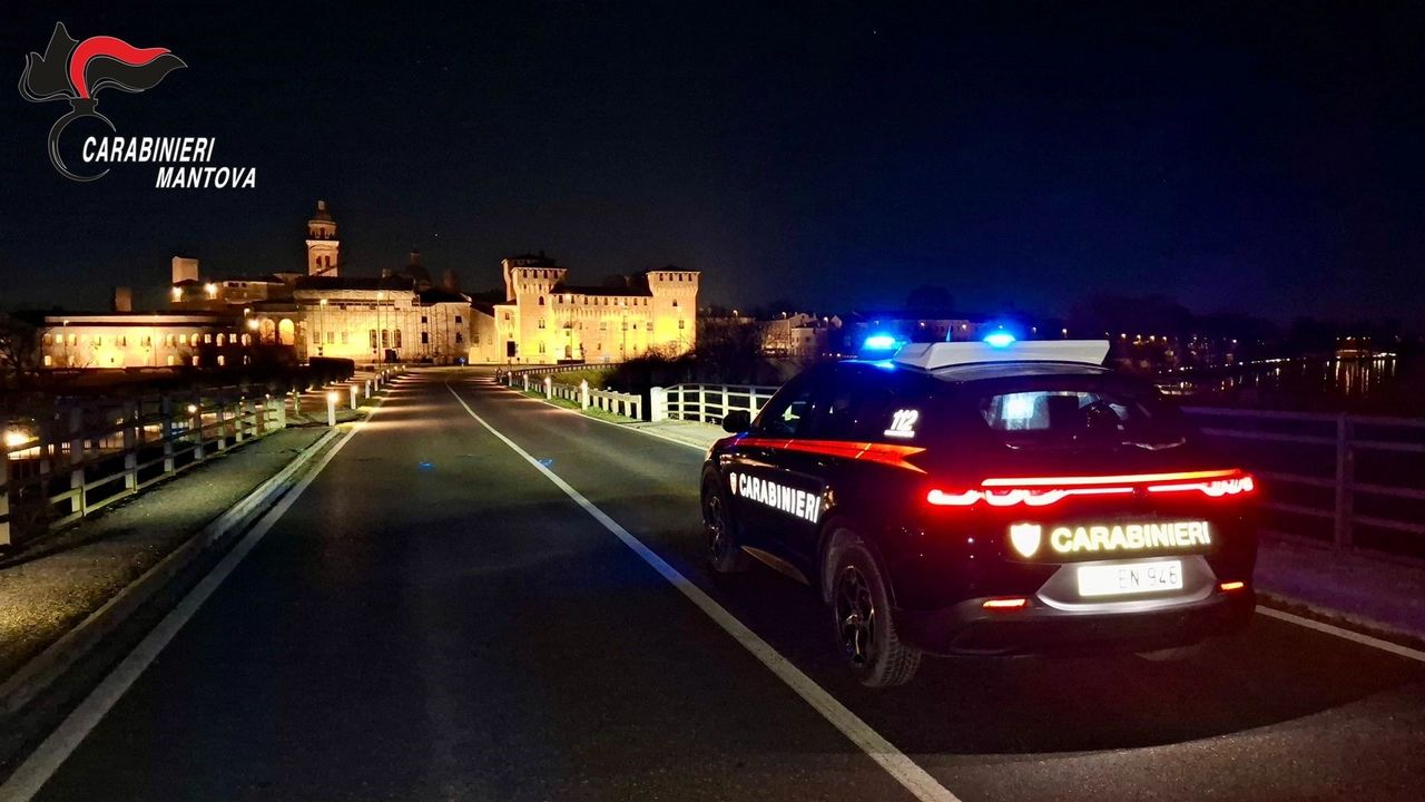 Carabinieri in azione