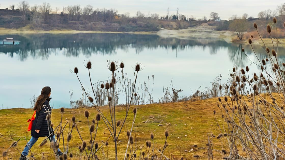 Rinaturalizzare è possibile. Un’oasi nella vecchia cava