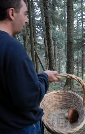 Funghi, il controllo salva la vita. Troppi non sanno riconoscerli e uno su tre non è commestibile