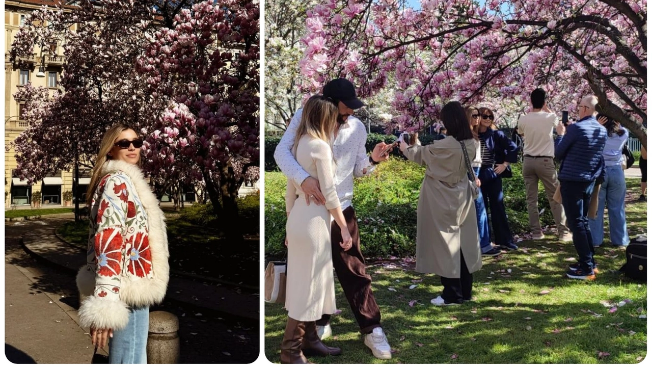 Milano, tutti pazzi per le magnolie di piazza Tommaseo, anche Ludovica Frasca (a sinistra)