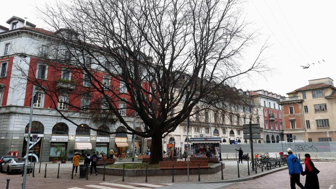 Nuova vita in largo Treves: "Cantieri, bar e panchine. È una zona solo per turisti"