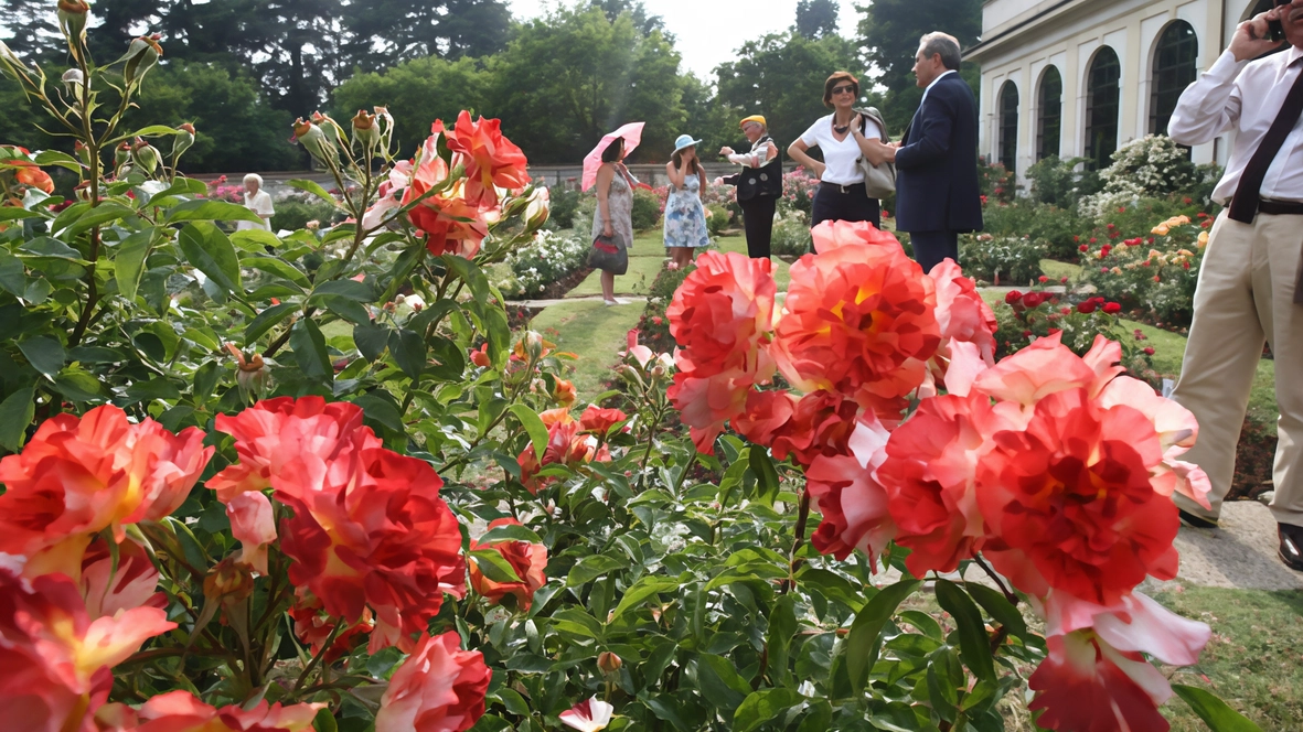 "Più tempo per curare il Roseto". Il sogno della famiglia Fumagalli