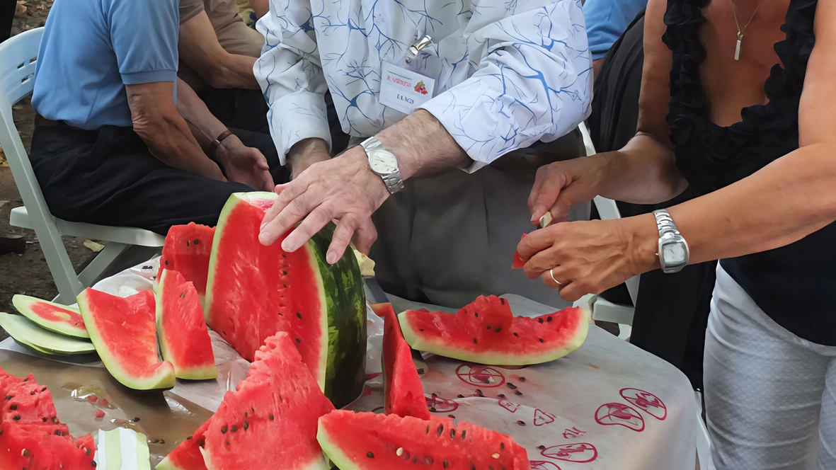 Niente fuochi, vietato anche l’utilizzo di bottiglie e bicchieri di vetro e al termine delle scampagnata è obbligatorio ripulire gli spazi. Tante le aree verdi a disposizione, l’elenco sul sito del municipio.