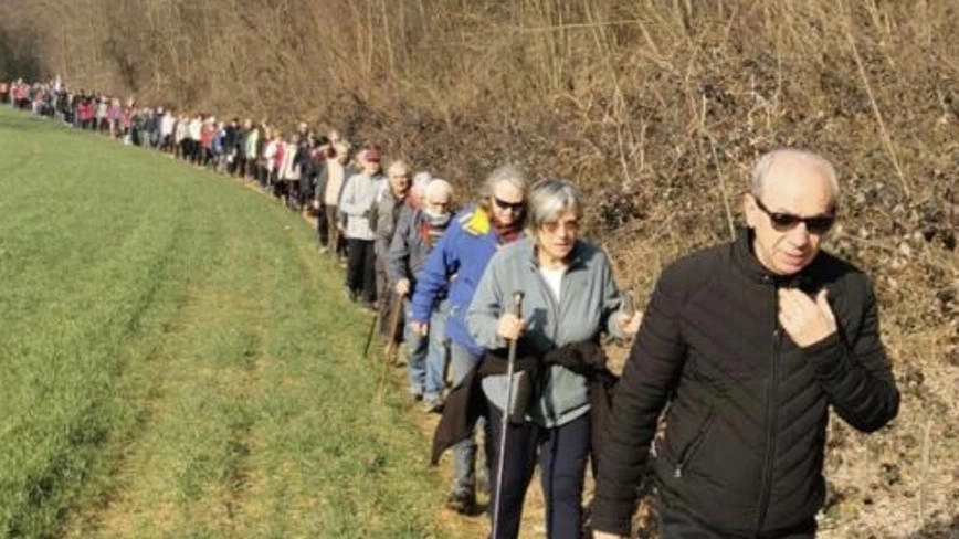 "Passeggiata pacifica" contro l’autostrada "perché i boschi di Bernate non restino solo un ricordo". Così i Comitati “No Pedemontana” della “Tratta...