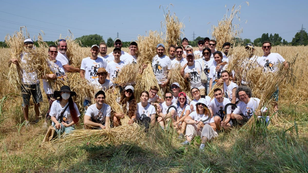 Lezioni universitari al Circolino del pane di Davide Longoni