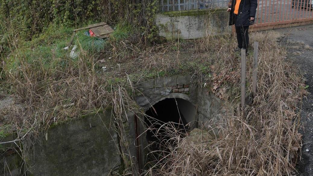 Colturano, la roggia dei veleni: "Cromo e nichel nei campi. Senza bonifiche salute a rischio"