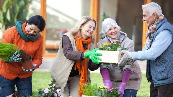 Il progetto "Ccc per una comunità di cooperazione e condivisione" offre attività e sportelli per over 60 in diverse località, finanziato da Fondazione comunitaria Nord Milano onlus. Corsi come "CreativaMente" e "Coltiviamo il divertimento" promuovono il benessere e la socializzazione.